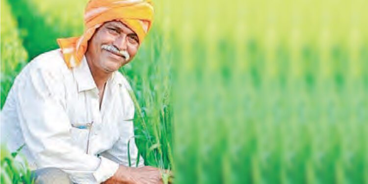 farmer
