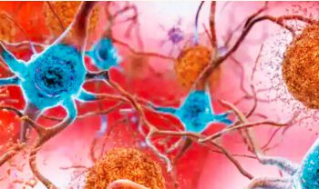 Corona virus can remain in the body for a year