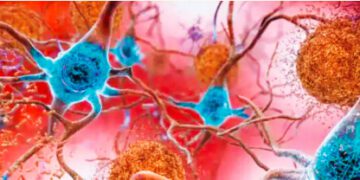 Corona virus can remain in the body for a year