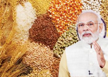 पोषण समृद्ध, जलवायु समर्थ का संदेश देता अंतरराष्ट्रीय पोषक अनाज वर्ष