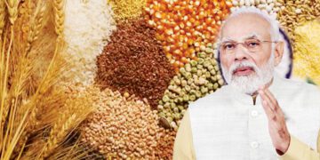 पोषण समृद्ध, जलवायु समर्थ का संदेश देता अंतरराष्ट्रीय पोषक अनाज वर्ष