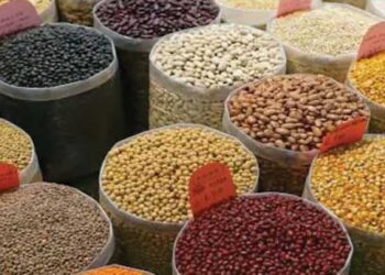 dal
