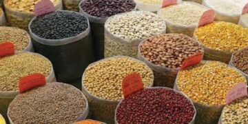 dal