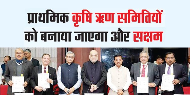 प्राथमिक कृषि ऋण समितियों को बनाया जाएगा और सक्षम