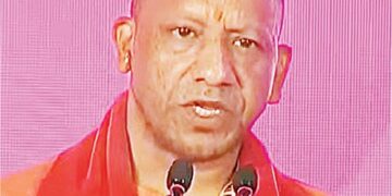 yogi