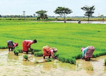 agricultural