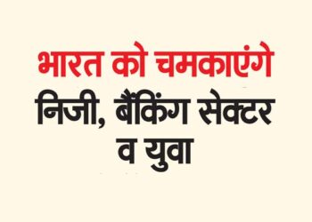 भारत को चमकाएंगे निजी, बैंकिंग सेक्टर व युवा