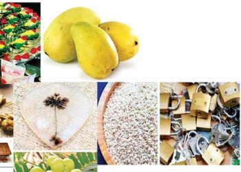 बनारसी पान और लंगड़ा आम को मिला जीआई टैग