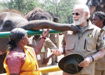 एलिफैंट कैंप पहुंचे मोदी, वहीं बनी थी ‘द एलिफेंट व्हिस्परर्स’