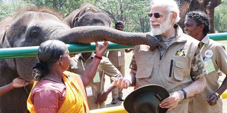 एलिफैंट कैंप पहुंचे मोदी, वहीं बनी थी ‘द एलिफेंट व्हिस्परर्स’