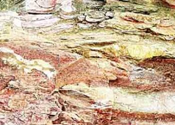 Evidence of 1400 million years old strong earthquake found on Vindhya mountain