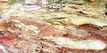 Evidence of 1400 million years old strong earthquake found on Vindhya mountain
