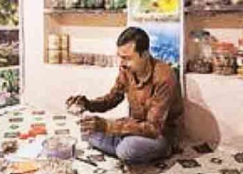 Love for the environment, made the house a seed bank