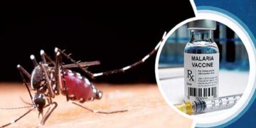 vaccine R-21 passed