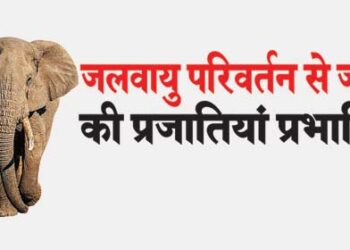 species affected by climate change