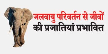 species affected by climate change