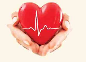 Vitamin D is necessary for heartbeat