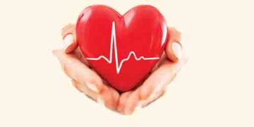 Vitamin D is necessary for heartbeat