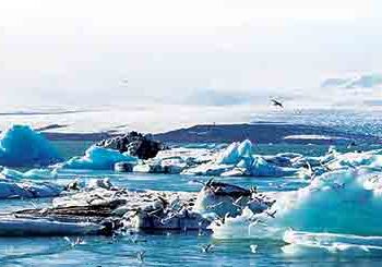 India, Japanese scientists discovered 600 million years old sea water