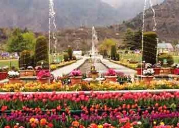 30 countries including America-Germany will make films in the valley