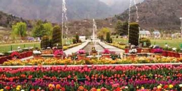 30 countries including America-Germany will make films in the valley