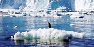 40 percent ice sheets shrunk in Antarctica