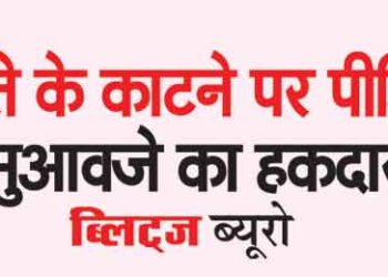 Dog bite victim entitled to compensation