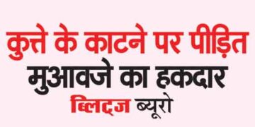 Dog bite victim entitled to compensation