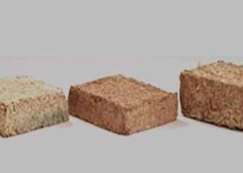 16th open house of IIT Delhi organized