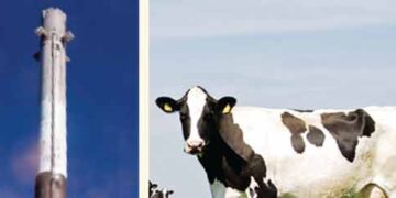 For the first time in the world, a rocket was launched from cow dung.