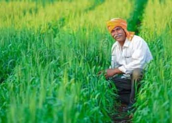 farmer