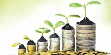 Stock market, small cap stocks, mutual funds made rich