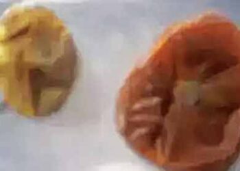 NASA finds 2 tomatoes lost in space after 8 months