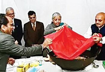 Interim Budget: Relief on income tax possible