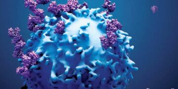 It is possible to create cancer fighting cells in the human body itself.