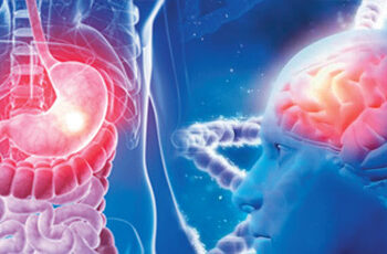 Stomach infection can increase the risk of Alzheimer's