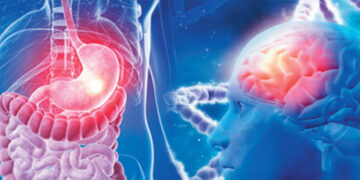 Stomach infection can increase the risk of Alzheimer's