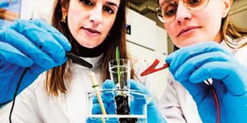 ‘Electronic soil’ ready, claims double crop in 15 days