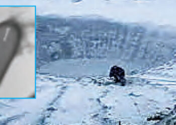 The 'monster' buried in snow for 48 thousand years has awakened