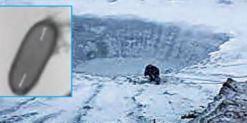 The 'monster' buried in snow for 48 thousand years has awakened