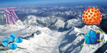 'Angels of death' in Tibet's melting glaciers