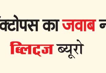 Octopus doesn't respond