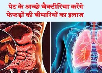 Good stomach bacteria will cure lung diseases