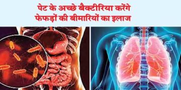 Good stomach bacteria will cure lung diseases
