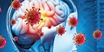 Corona virus can remain in the body for a year