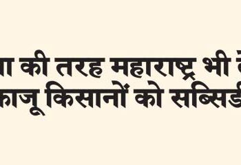 Like Goa, Maharashtra will also give subsidy to cashew farmers