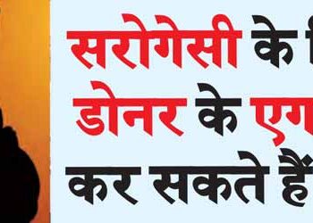 Donor eggs can be used for surrogacy