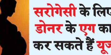 Donor eggs can be used for surrogacy