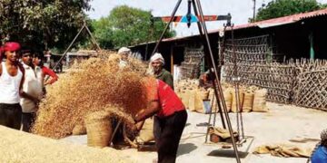Wheat procurement started in UP, spring came in the markets