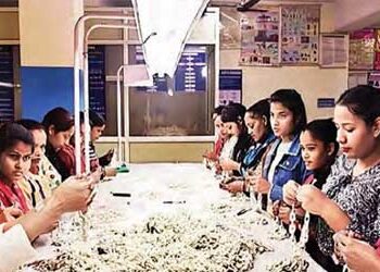 Pearl garland and handicraft gave special identity to Khushboo